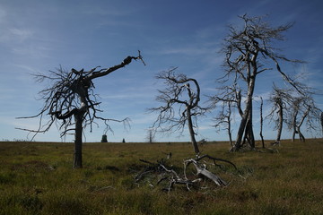 High fens Belgium