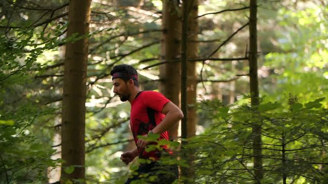 Trail Running Man In Forest. Endurance Workout Training. Sport Concept.