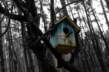 Ein Vogelhaus im Wald