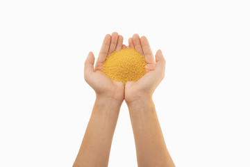 millet in hands with white background