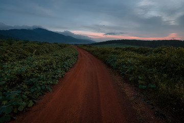 Naklejka premium Near to Mountain Ophir at johor bahru