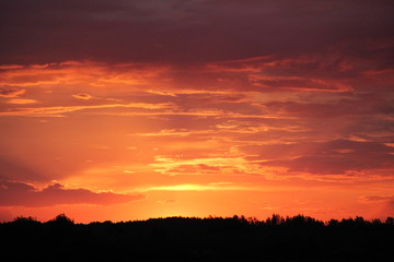 Fototapeta na wymiar Beautiful sunset over the field