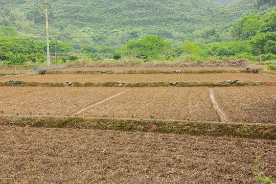 Uncultivated farmland in the karst hills in the vicinity of Yangshuo near Guilin