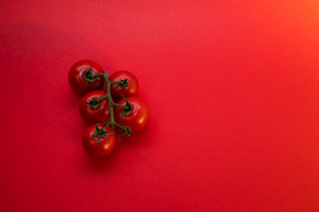 Five red tomatoes on a branch on a red background
