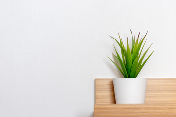 Potted green plant in white flowerpot on wooden shelf in front of white wall with copy space, minimalistic scandinavian interior