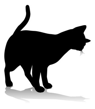 A silhouette cat pet animal detailed graphic