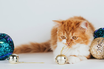 Fluffy ginger kitten and shiny Christmas balls and bells.