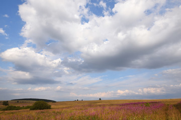 Obraz premium Auf dem Erzgebirgskamm bei Adolfsgrün im Grenzgebiet 
