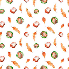 Thanksgiving watercolor pattern chestnuts for decoration in a skeptical style. Hand drawn isolated on a white background.