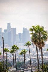Fototapeta na wymiar View of Los Angeles, CA with palm trees and moody sky