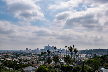 Obraz premium View of Los Angeles, CA with palm trees and moody sky