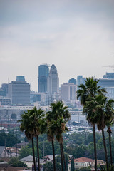 Fototapeta na wymiar View of Los Angeles, CA with palm trees and moody sky