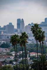 View of Los Angeles, CA with palm trees and moody sky