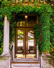 Beautiful front door with ivy creepers and fall colors