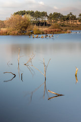 Vogelmeer Bloemendaal