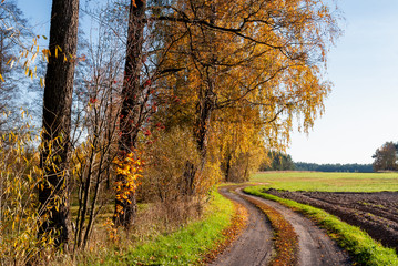 Jesień na Podlasiu, Polna droga, Krajobraz wiejski © podlaski49