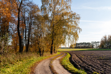 Jesień na Podlasiu, Polna droga, Krajobraz wiejski