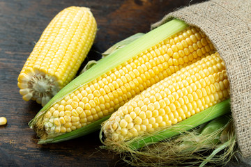 heads of corn on the table