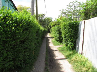 The walking paths of Santiago Island.
