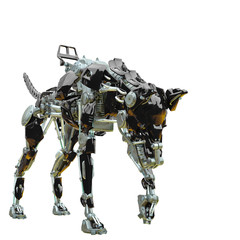 cyber dog found something