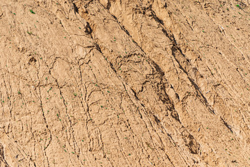 Detail Of Dry Ground On The Desert - Texture / Pattern
