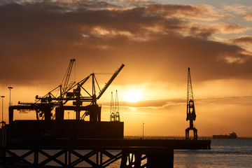 Obraz premium The port cranes