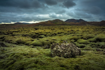 The mossy lava fields of Iceland