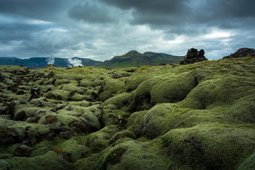 Mossy lava fields of Iceland