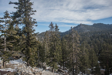 Palm Springs tramway after late season snow