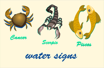 Signs of water horoscope, cancer, scorpion, fish