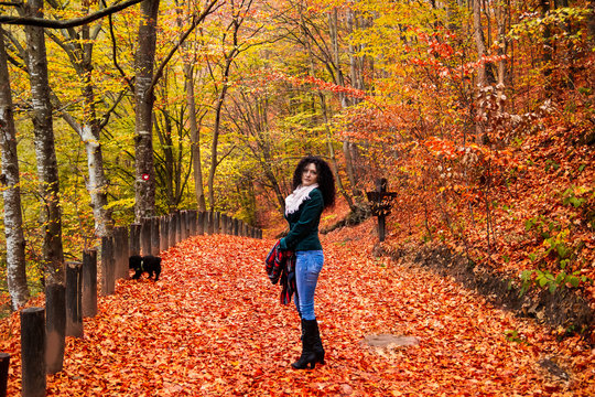 Young woman walk on a forest footpath covered with fallen leaves at autumn. Camping place Grza near the Paracin in Serbia.