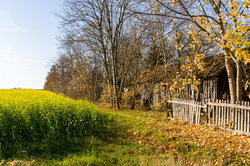 Wieś nad Narwią, Wiejski krajobraz Podlasia © podlaski49