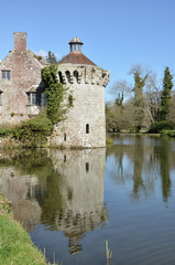 Fototapeta na wymiar Vieux château dans un parc du sud de l'Angleterre