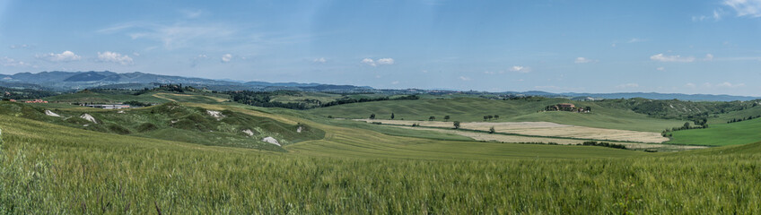 Fototapeta na wymiar landscape with green fields and blue sky in Tuscany, Italy