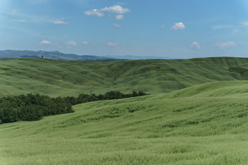 landscape with green fields and blue sky in Tuscany, Italy
