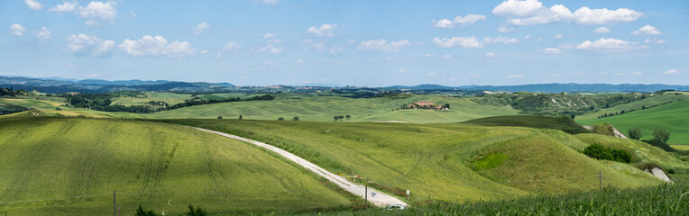 Fototapeta na wymiar landscape with green fields and blue sky in Tuscany, Italy