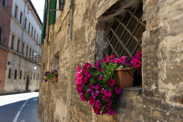 Fototapeta na wymiar street of Siena, italy