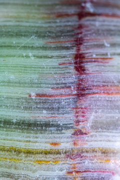 Green Emerald Quartz Gemstone Close Up 