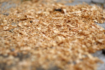 Close up saw dust. Wooden industry. Sawmill