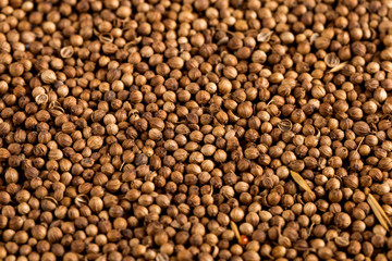 Grains of coriander, evenly sprinkled, yellow background from spices. Concept, copy space.