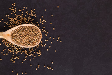 Coriander grains in a wooden spoon are scattered on a black background. Concept, copy space.
