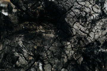 Abstract background for wallpapers with the image of burnt black wood.