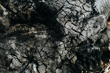 Abstract background for wallpapers with the image of burnt black wood.