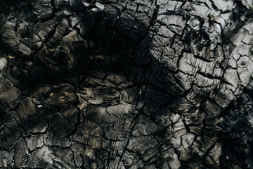 Abstract background for wallpapers with the image of burnt black wood.