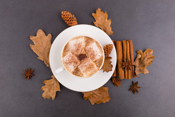 Cup of coffee with marshmallows and cocoa, leaves, dried oranges, cinnamon and star anise, gray stone background. Tasty hot autumn drink. Copy space.