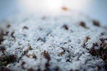 Macro background of fresh snowflake texture