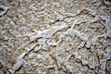 Beautiful Abstract Grunge Decorative Stucco Wall Background. Stylized Texture Banner With Space For Text