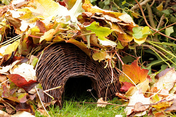 Überwinterungshilfe für Igel © TwilightArtPictures