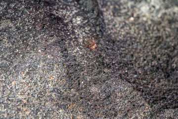 Close Up of Volcanic Quartz Rock