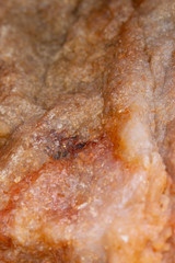 Orange Citrine Yellow Quartz Crystal Close Up 